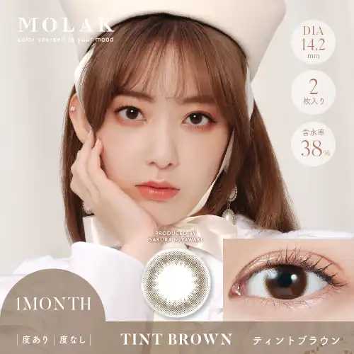 ティントブラウン Tint Brown MOLAK 1month 2P